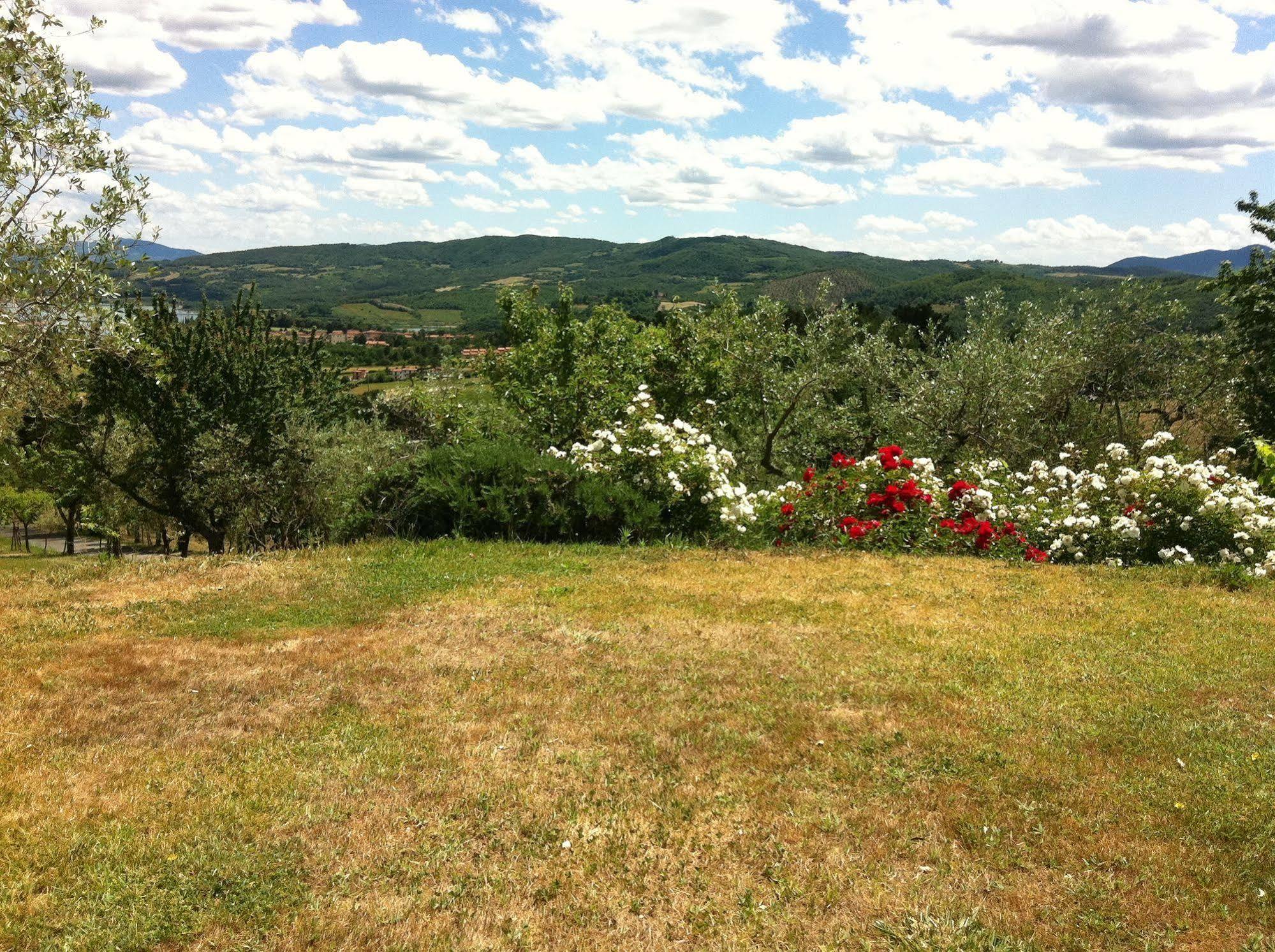 Poggio Agli Ulivi Villa Barberino di Mugello Exteriör bild